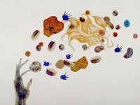 MARGARET CRAIG