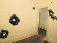 INFECTION HOLES
