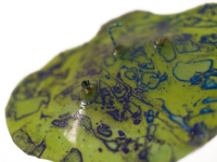 INFECTION DETAIL CLOSE-UP