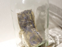GOOBER ADDED MONEY WITH DONATION JAR