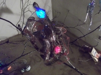 Luminous Image 1