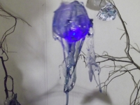 Luminous Image 3