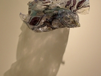 SHATTERED SHELL