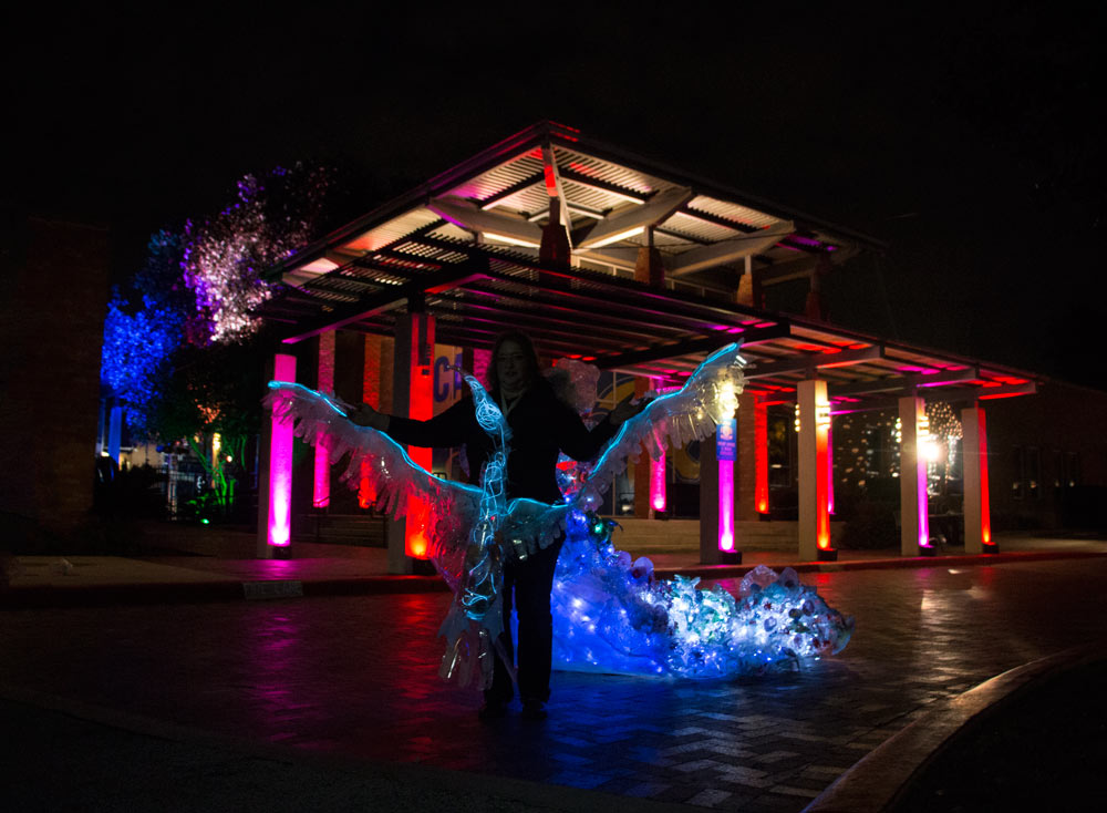 Margaret Craig's The Albatross at San Antonio's Carver Community Cultural Center - Luminaria 2016