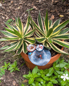 One of Margaret Craig's Setting Seed sculptures rests beneath a variegated agave on Blackburn Patio at the McNay Art Museum.