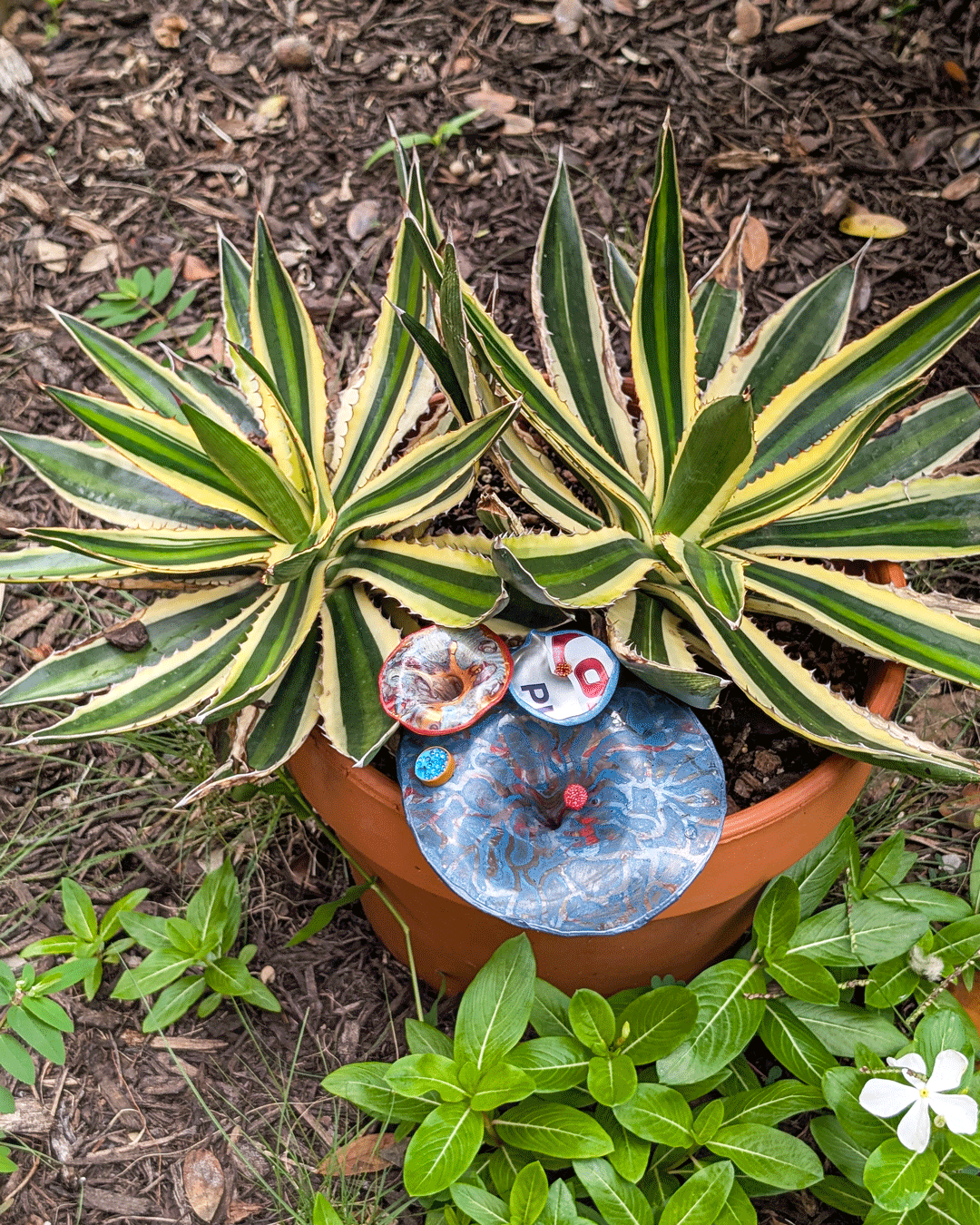 One of Margaret Craig's Setting Seed sculptures rests beneath a variegated agave on Blackburn Patio at the McNay Art Museum.