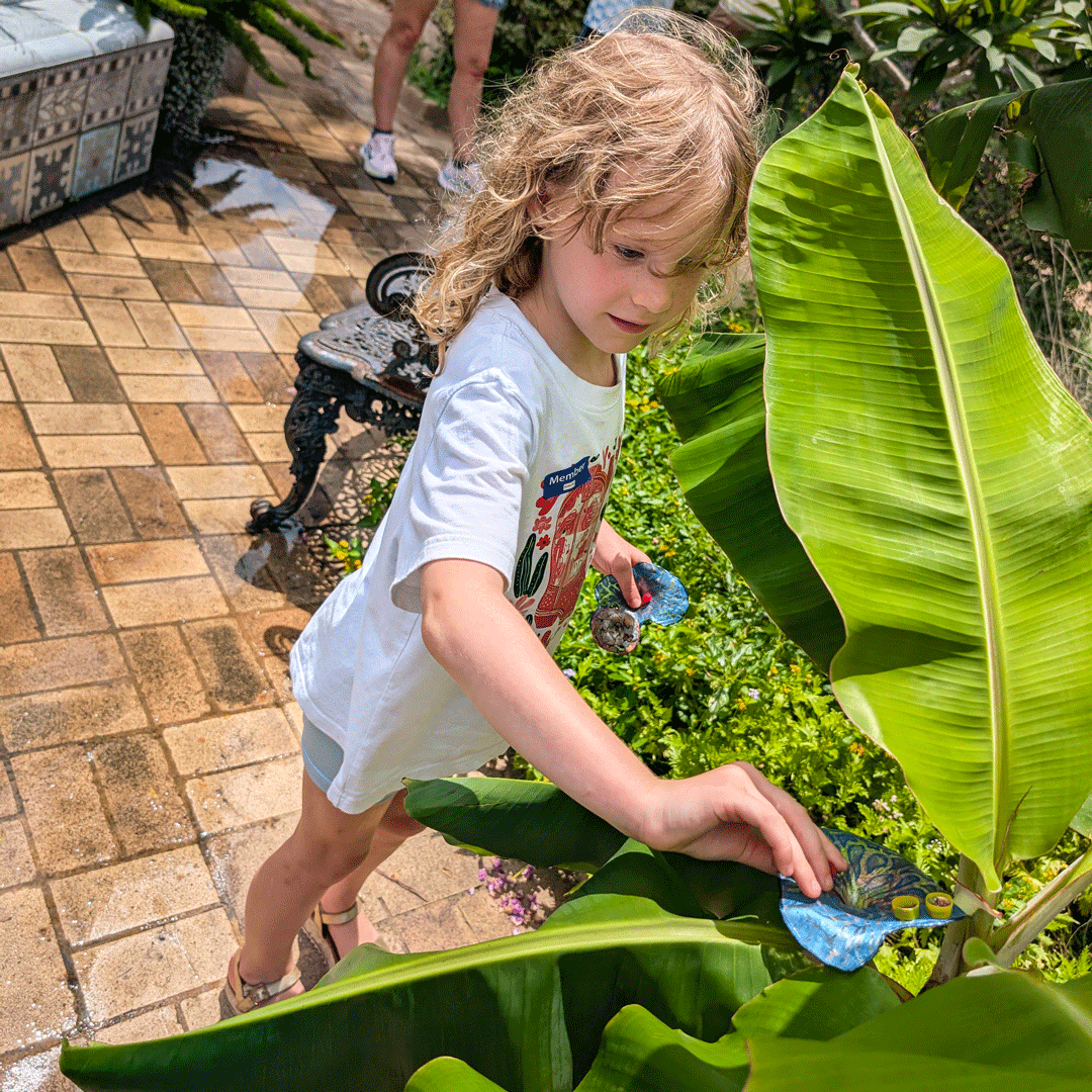 A child reaches for one of Margaret Craig's Setting Seed sculptures among the plants on the Blackburn Patio during McNay Family Day at the McNay Art Museum.
